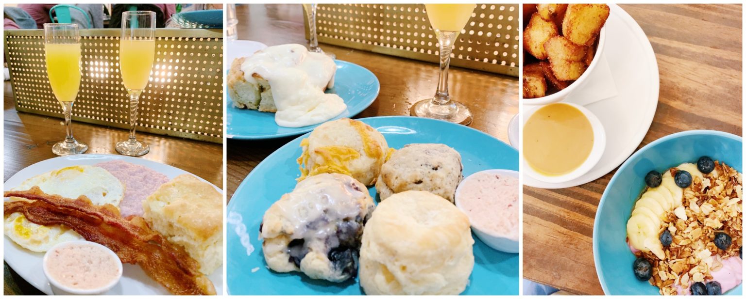 Top 12 Favorite Brunch/Breakfast Spots in Charleston, SC Hope Taylor